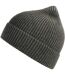 Atlantis Unisex Adult Andy Recycled Polyester Beanie (Dark Grey Melange) - UTAB559