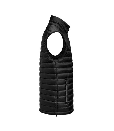 Veste Sans Manches Meadows Homme Noir James Harvest