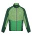 Veste polaire coladane homme vert jasmin / vert des champs Regatta Regatta