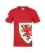 T-shirt Motif/style Graphique Homme Rouge FA Wales-1
