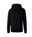 Sweat À Capuche Teamgoal Homme Noir Puma-2