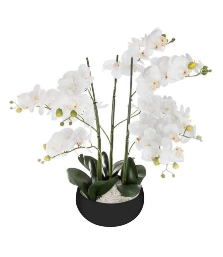 Fleur Artificielle Pot Ciment Orchidée 65cm Noir