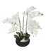 Fleur Artificielle Pot Ciment Orchidée 65cm Noir-1