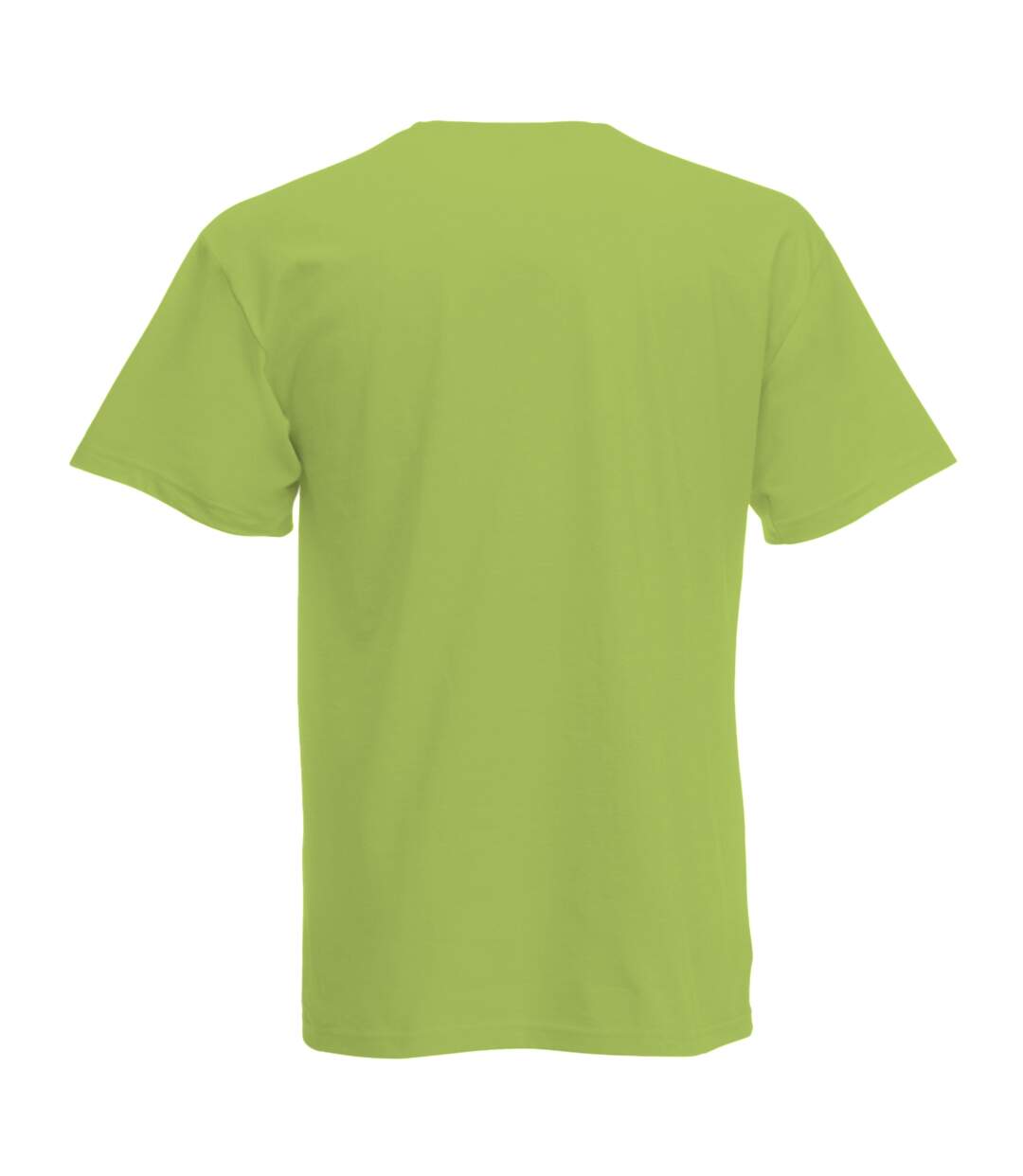 Mens Short Sleeve Casual T-Shirt (Spring Green)