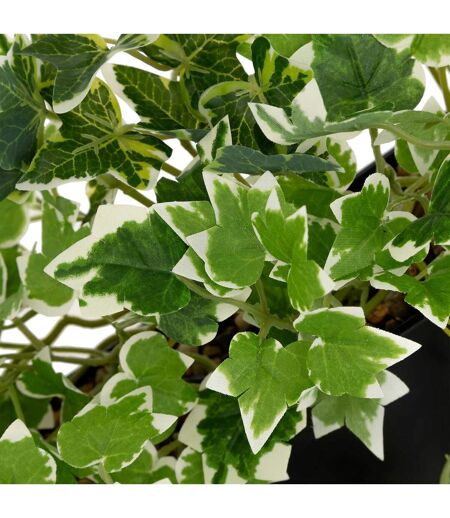 Plante Artificielle à Suspendre Curt 35cm Noir