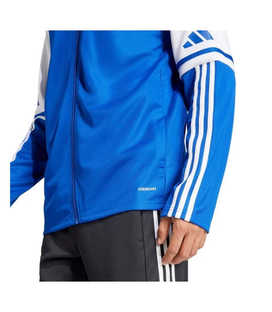 Veste Entraînement Squadra Homme Bleu Adidas-4