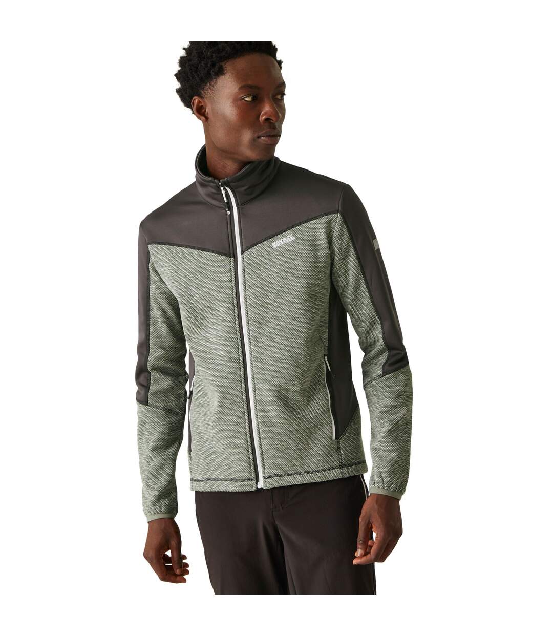 Mens Highton Iv Full Zip Fleece Jacket Agave Green Ash Regatta-4