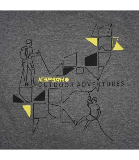 T-shirt Beeville Performance Homme Gris Icepeak