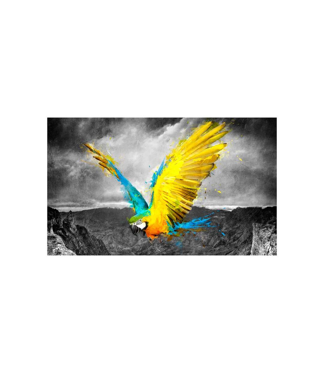 Papier Peint Exotic Parrot II 270x450cm-2