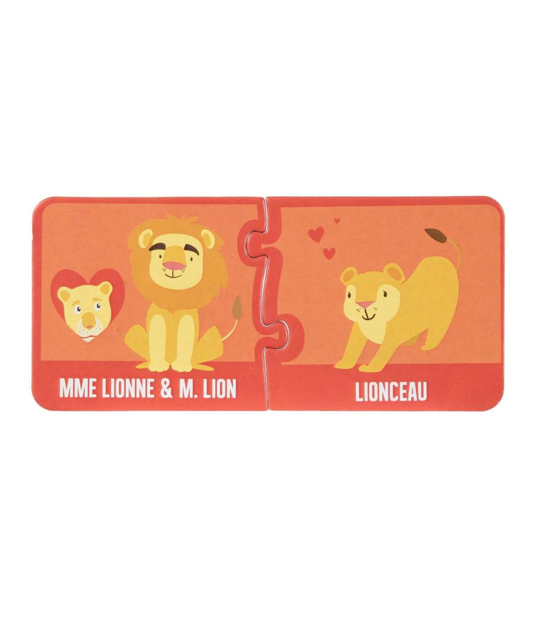 Jeu de 30 Cartes Educatives Animaux 14cm Multicolore-4