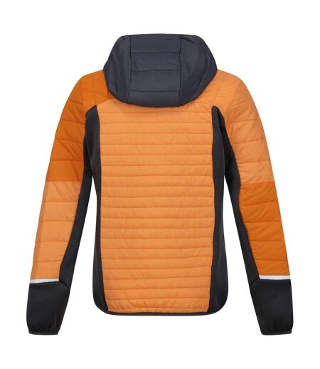 Doudoune À Capuche Motif/style Blocs De Couleurs Trutton Homme Orange Anthracite Regatta