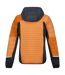 Doudoune À Capuche Motif/style Blocs De Couleurs Trutton Homme Orange Anthracite Regatta-2