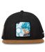 Casquette flat Dragon Ball Super Fusion Capslab