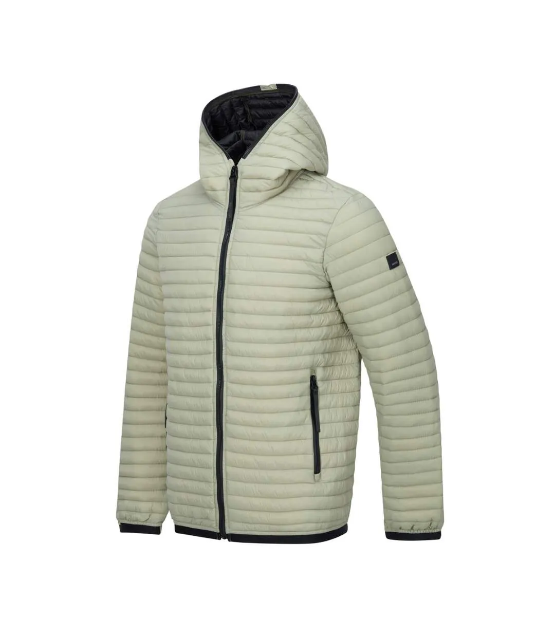 Mens Rigain Padded Jacket Light Sage Regatta-4