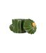 Boîte Cactus Déco en Céramique Yucatan 16cm Vert-2