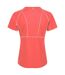 Womens/ladies Devote Ii Contrast Detail T-shirt Neon Peach Regatta-2