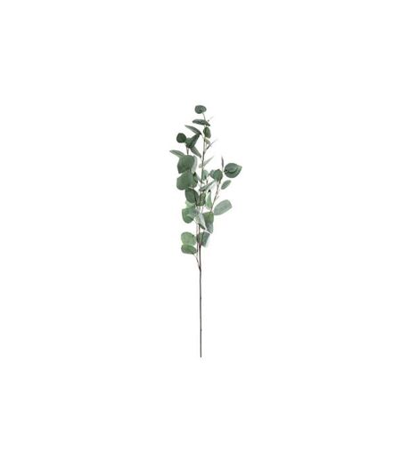 Tige Artificielle Eucalyptus 92cm Vert