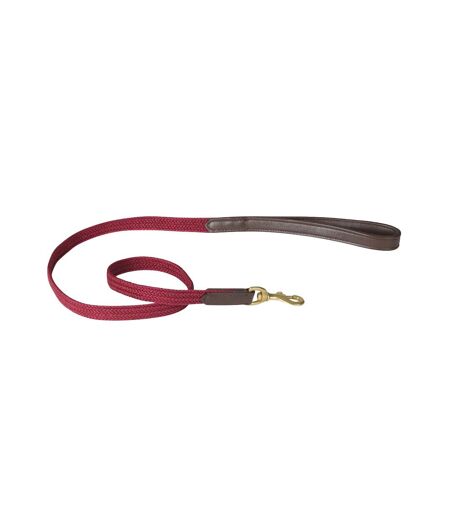 Plaited leather dog lead m brown/maroon Weatherbeeta