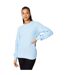 Womens/ladies knitted pointelle jumper pale blue Dorothy Perkins