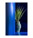 Plante Artificielle en Pot Agave 115cm Vert-4