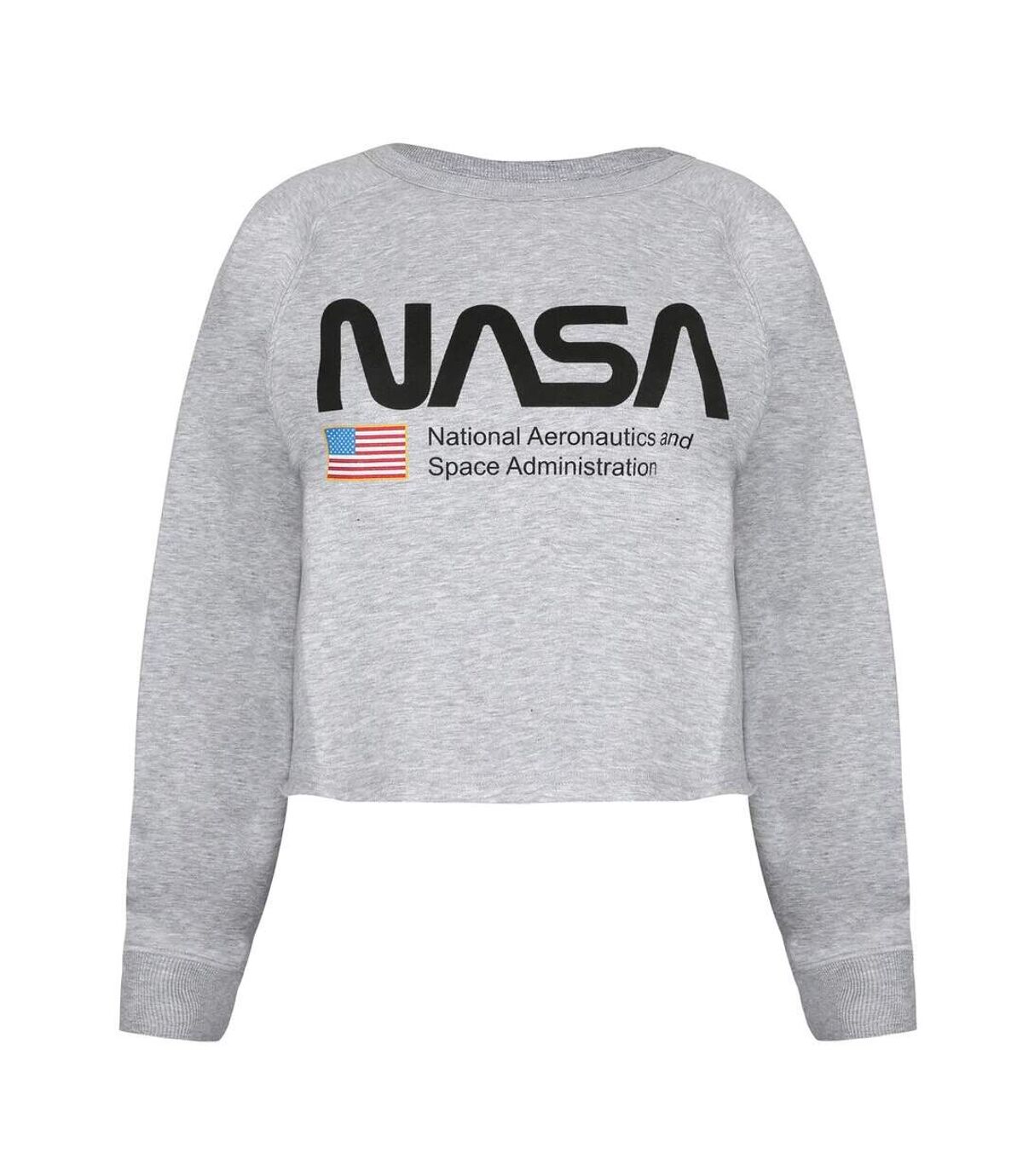 NASA Womens/Ladies National Aeronautics Crop Sweatshirt (Grey Marl)