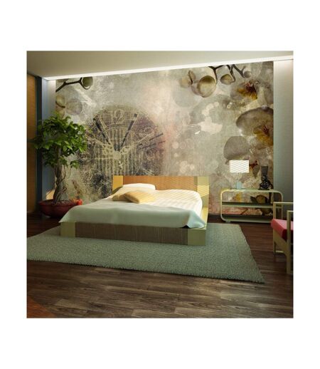 Papier Peint Horloge Vintage II 450x270cm