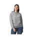 Sweat À Capuche Softstyle Adulte Gris Chiné Gildan-1
