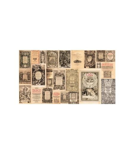 Papier Peint XXL Vintage Books 280x500cm