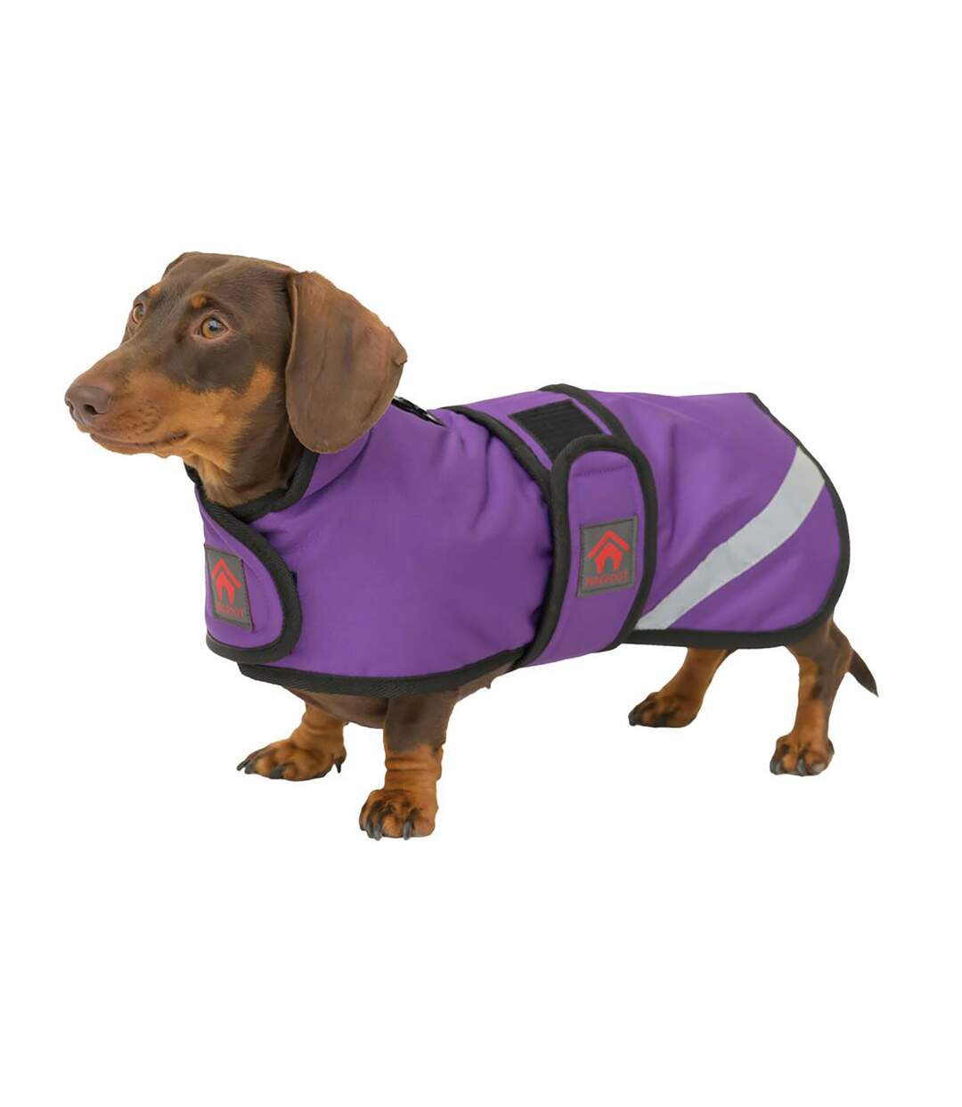 Dachshund fleece lined outdoor dog coat m/l-18cm purple Firefoot-2