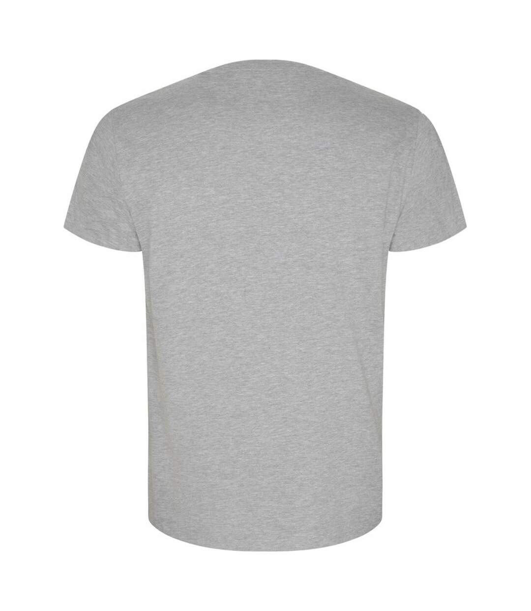 T-shirt Golden Homme Gris Chiné Roly-2