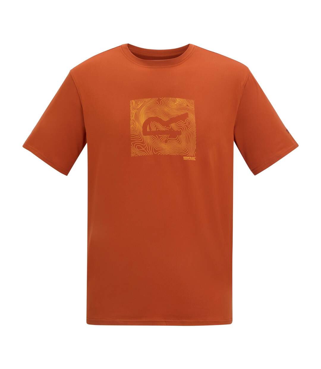 T-shirt Motif/style Abstrait Fingal Homme Thé Rooibos Regatta-2