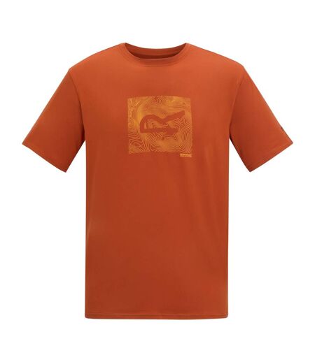 T-shirt Motif/style Abstrait Fingal Homme Thé Rooibos Regatta