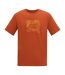 T-shirt Motif/style Abstrait Fingal Homme Thé Rooibos Regatta-2