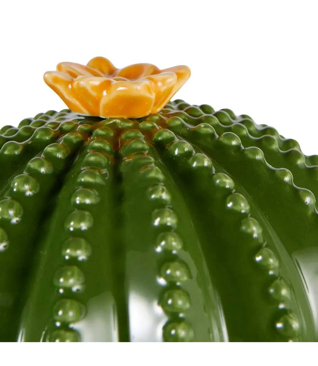 Boîte Cactus Déco en Céramique Yucatan 16cm Vert-3