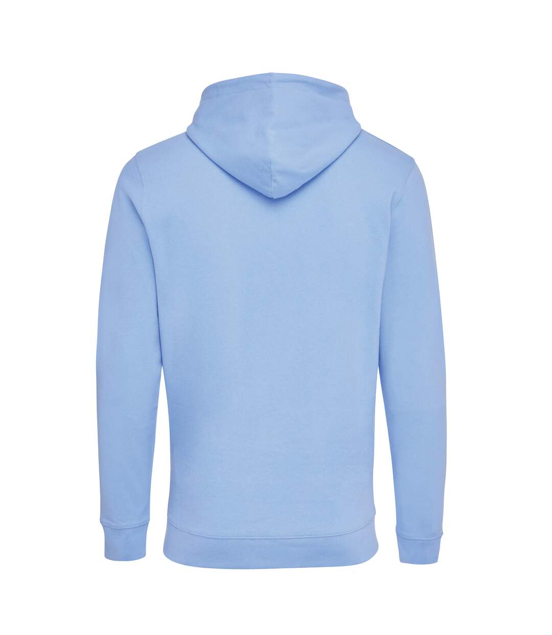 Unisex adult jasper recycled cotton hoodie sky blue Iqoniq-2