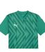 Mens Teamglory Jersey T-shirt Sport Green White Puma-3