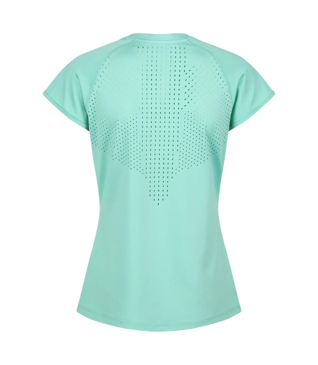 Womens/ladies Luaza Solid T-shirt Ocean Wave Regatta-2