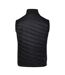 Doudoune Sans Manches Gendarme Homme Noir Vert Algue Dare 2B-2