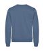 Unisex Adult Miami Round Neck Sweatshirt Steel Blue Clique-2