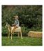 Cheval de jardin en bois pour enfants