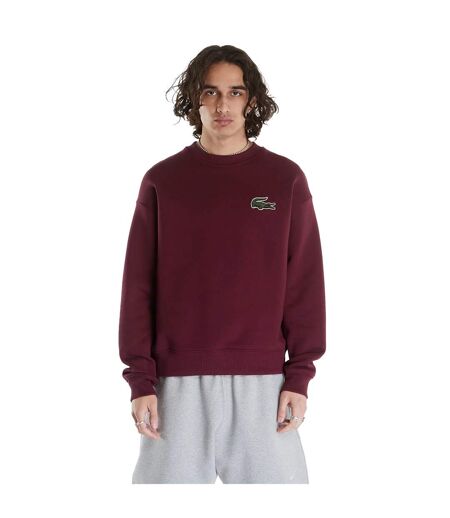 Sweat Homme Bordeaux Lacoste