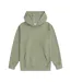 Womens/ladies Kaya Logo Hoodie Green Animal-1