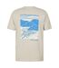 T-shirt Motif/style Graphique Reach The Summit Homme Gris Mountain Warehouse-2