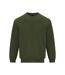 Gildan Unisex Adult Softstyle Fleece Midweight Sweatshirt (Military Green)