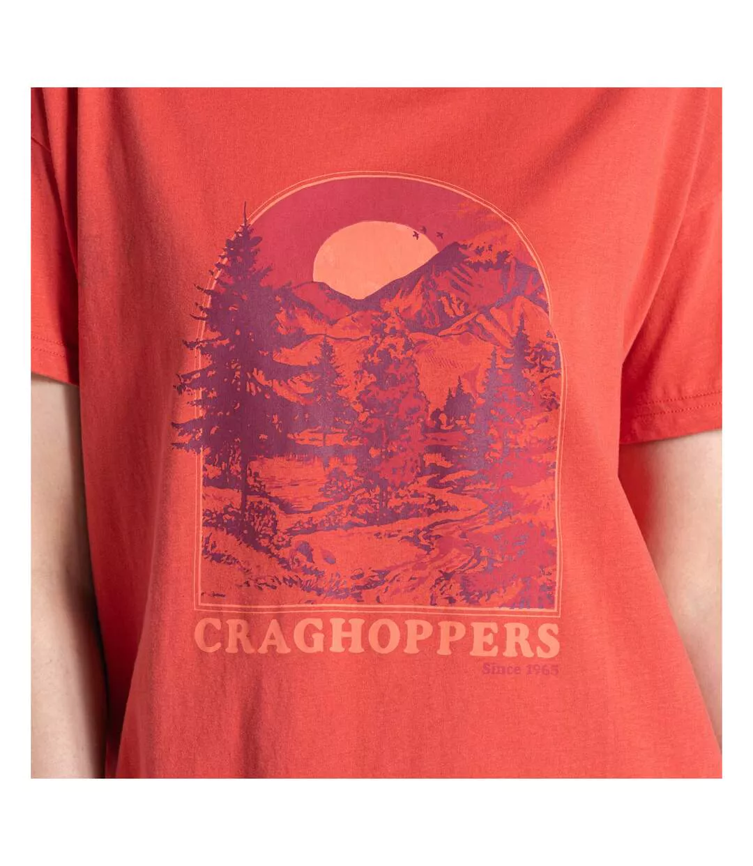 Womens/ladies Yago Mountain T-shirt Compote Red Craghoppers-4