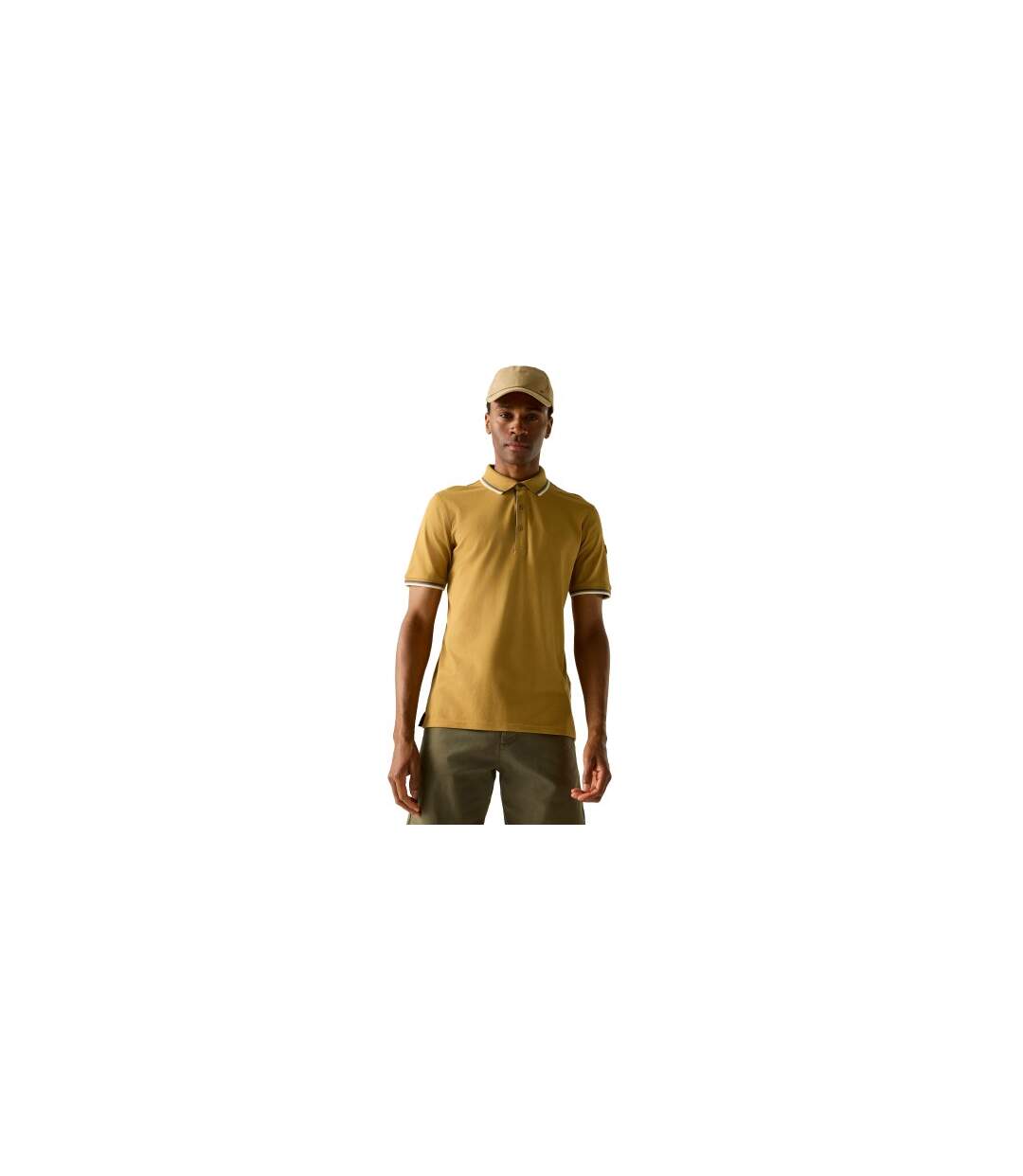 Mens Adryan Polo Shirt Wood Brown Regatta-1