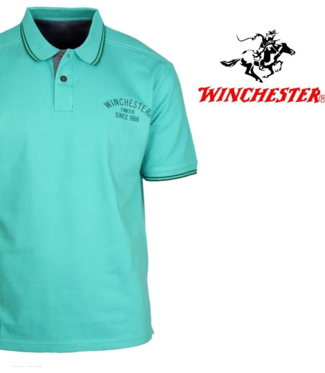 Polo WINCHESTER RAGGA3 en coton piqué : le style sport-chic au confort absolu-4