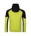 Doudoune Matelassée Gendarme Homme Noir Vert Algue Dare 2B-2