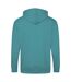 Awdis Plain Mens Hooded Sweatshirt / Hoodie / Zoodie (Hawaiian Blue) - UTRW180
