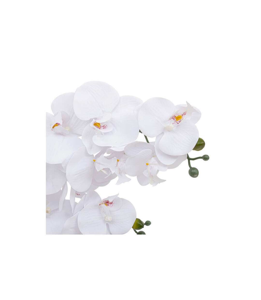 Orchidée Artificielle en Pot Riva 60cm Blanc-2